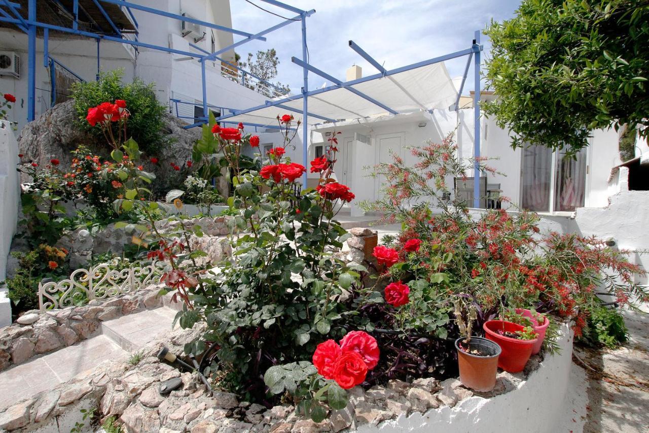 Paradis Studios Archangelos  Dış mekan fotoğraf