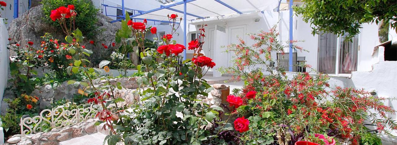 Paradis Studios Archangelos  Dış mekan fotoğraf